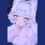 Hidden_Snowy