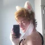 astacat