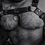 bearzacerza