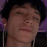 diegosaurs