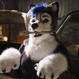 gravitystormhusky