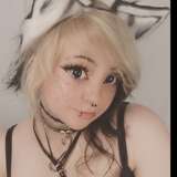 littlescarefoxfree