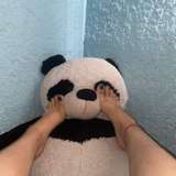 naneh22