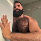 bearwoofbr