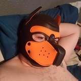 jackpupr