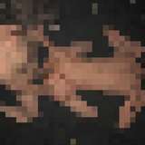 noahbiggs