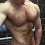 musclebullpup