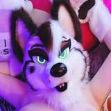 sundaehuskie