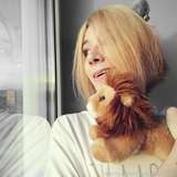 littlecutelion