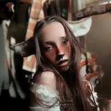 mirkwoodbambi