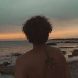 goldenarciso