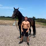 thehorserider69