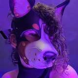 spicyxpup