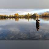 letsfishnaked