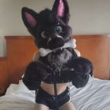 subbywulfboi