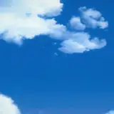 17番人気