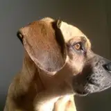 RuffWriter