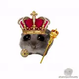 HamsterX42