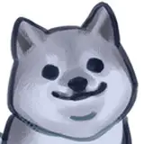 Action Dawg
