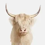 Vetarix