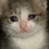 supahfox