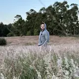tosgan2d