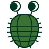 ミツコア