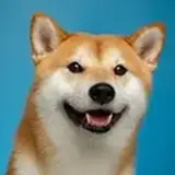 WhatYouDeserved