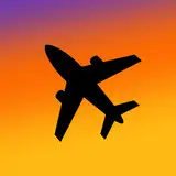 変な空港