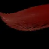 vamtails